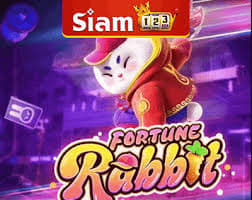 7rabbit.com paga mesmo ícone